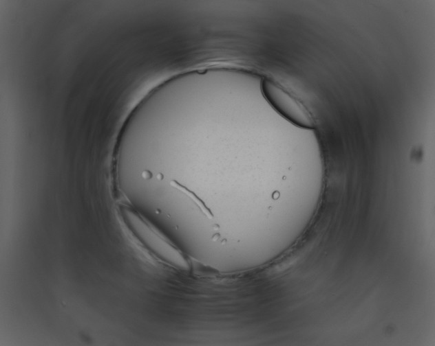 X0000089431423200707131834