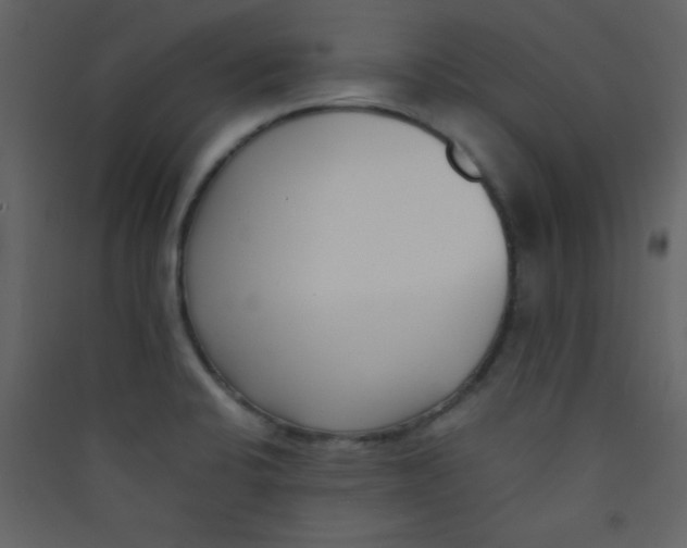 X0000089431424200707131834