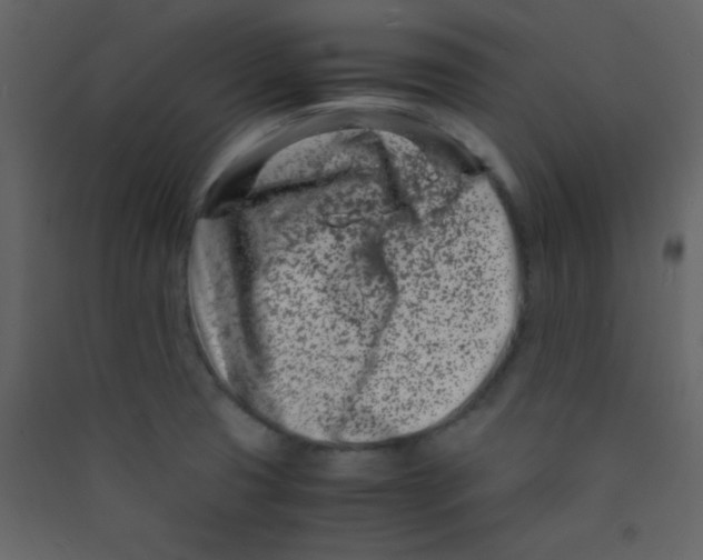 X0000089431425200707131834