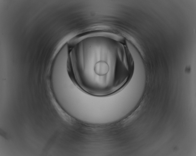 X0000089431426200707131834