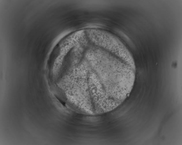 X0000089431427200707131834