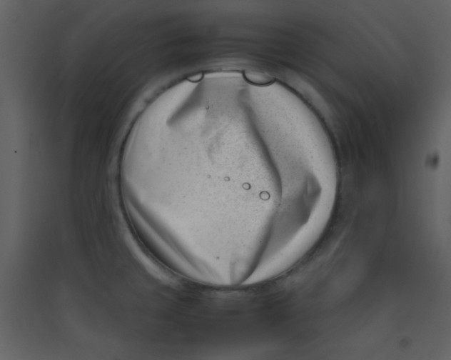 X0000089431429200707131835