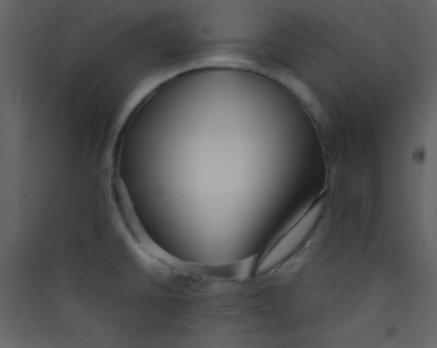 X0000089431430200707131835