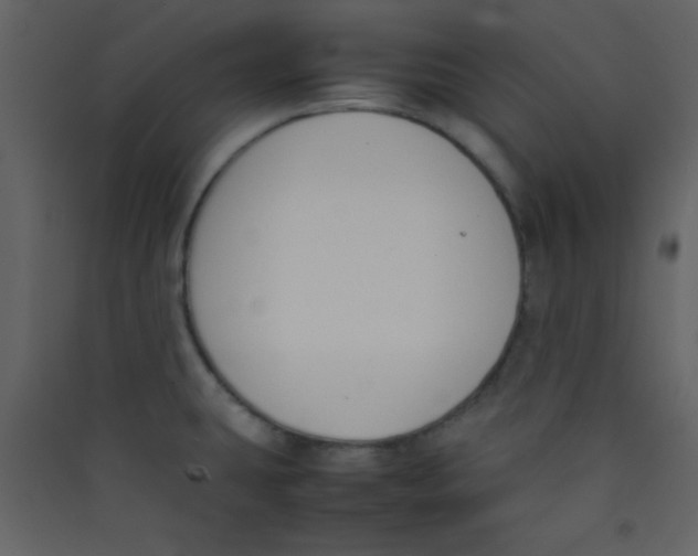 X0000089431431200707131835