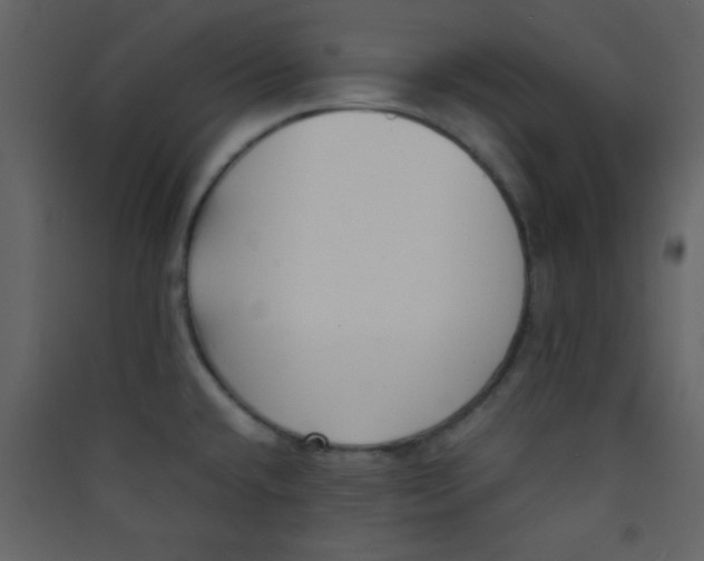 X0000089431432200707131835