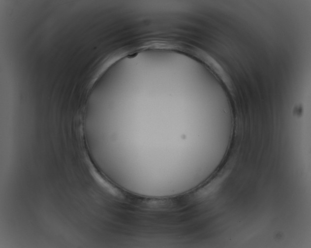 X0000089431433200707131835