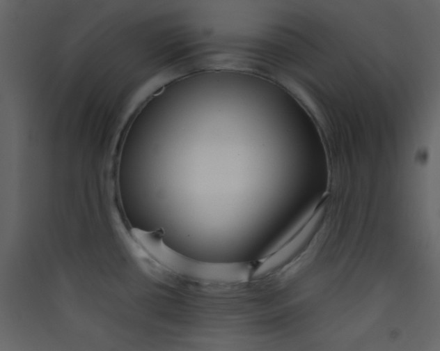 X0000089431434200707131835