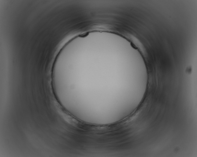 X0000089431435200707131835