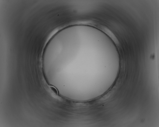 X0000089431436200707131835