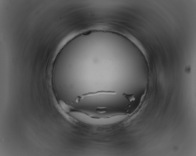 X0000089431437200707131835