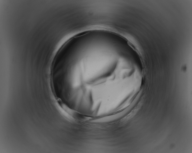 X0000089431438200707131835