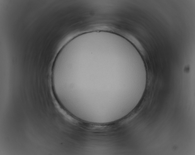 X0000089431439200707131835