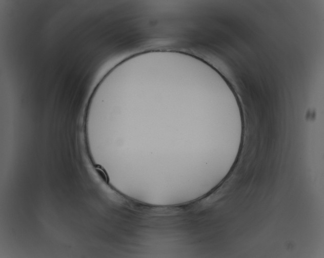 X0000089431440200707131835