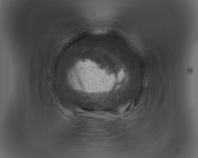 X0000089431441200707131834