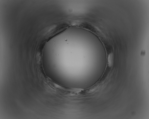 X0000089431443200707131834