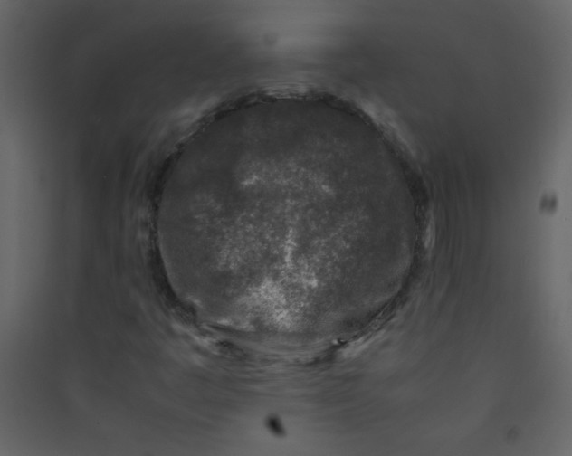 X0000089431445200707131834