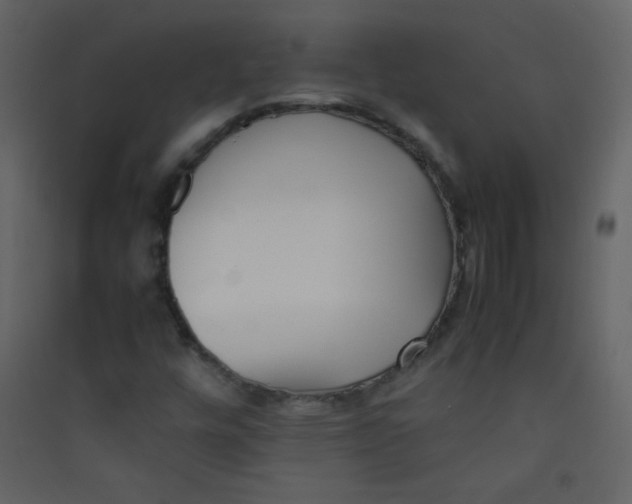 X0000089431448200707131834