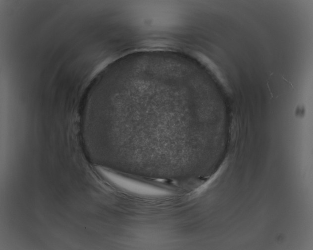 X0000089431449200707131834