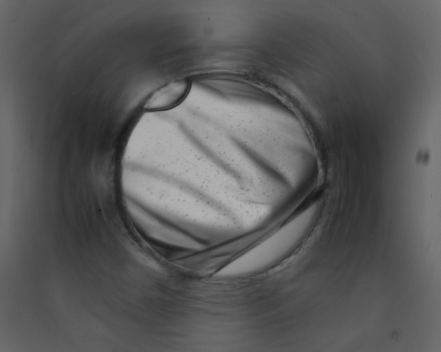 X0000089431450200707131834