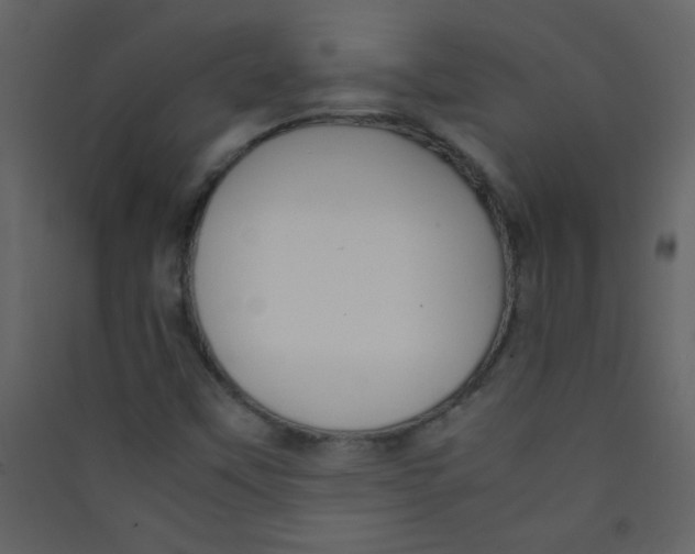 X0000089431451200707131834