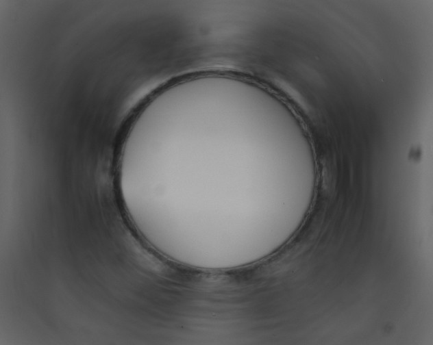 X0000089431452200707131834