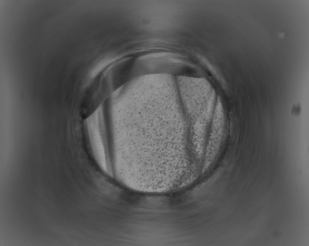 X0000089431453200707131834