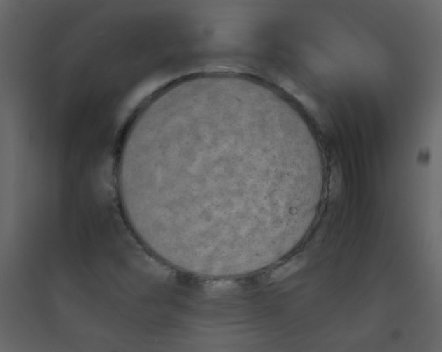 X0000089431454200707131834