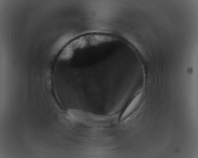 X0000089431455200707131834