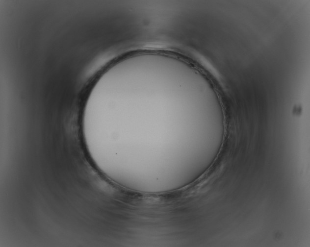 X0000089431456200707131834