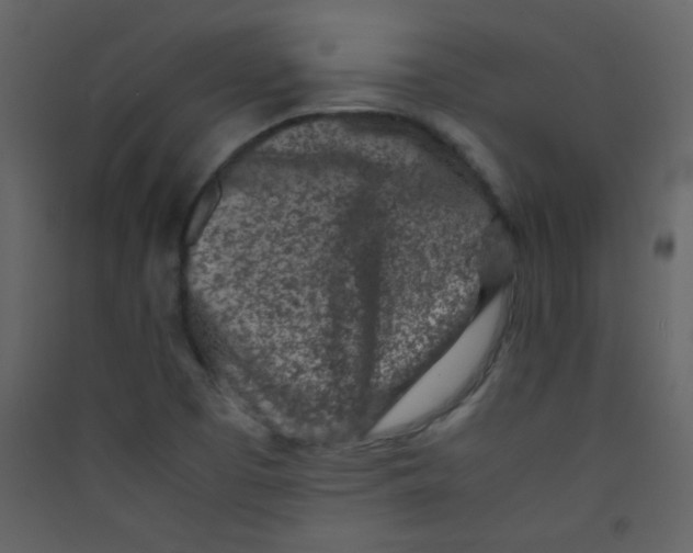 X0000089431457200707131834