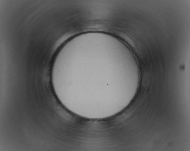 X0000089431458200707131834