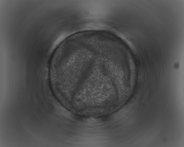 X0000089431459200707131834