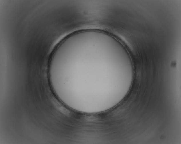 X0000089431460200707131834