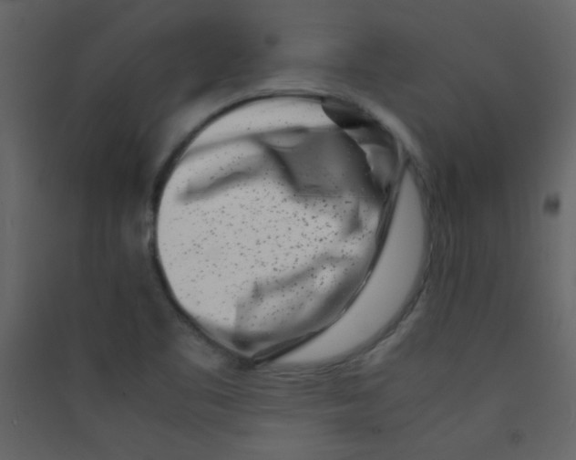 X0000089431461200707131834