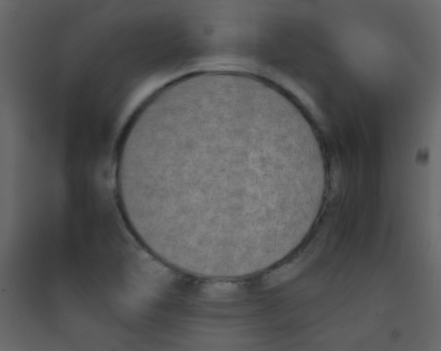 X0000089431462200707131834