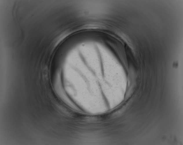 X0000089431465200707131834