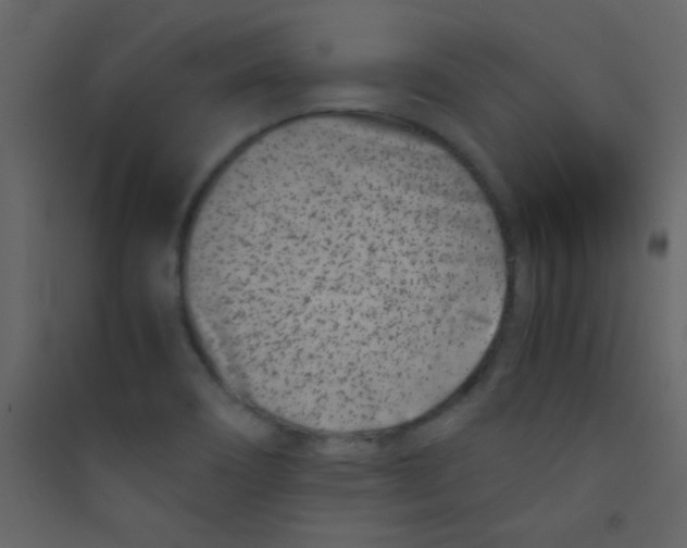 X0000089431466200707131833