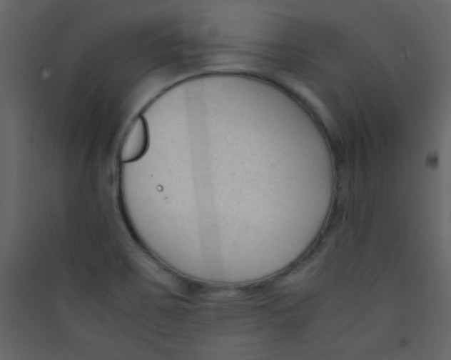 X0000089431467200707131833