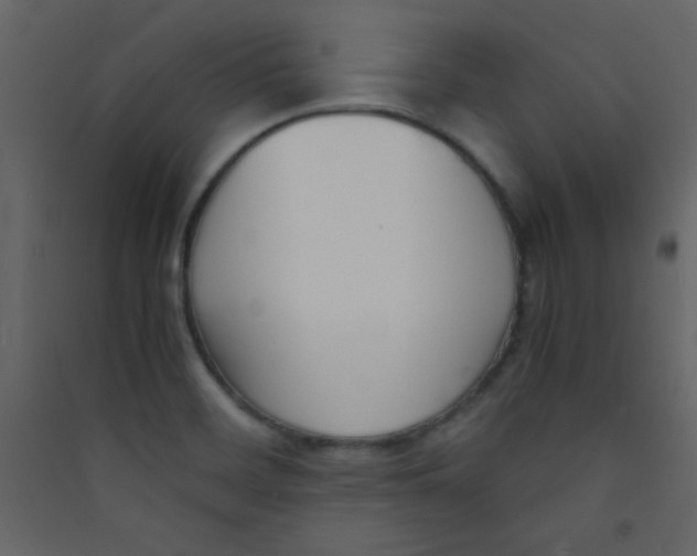 X0000089431468200707131833