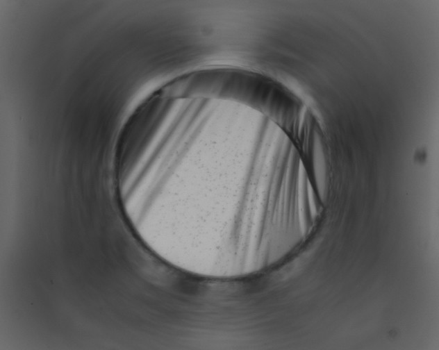 X0000089431469200707131833