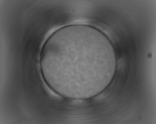 X0000089431470200707131833