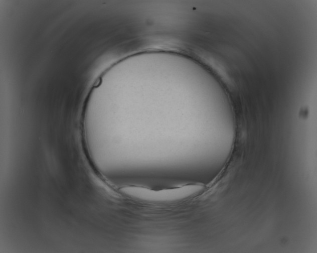 X0000089431471200707131833