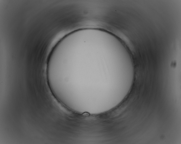 X0000089431472200707131833