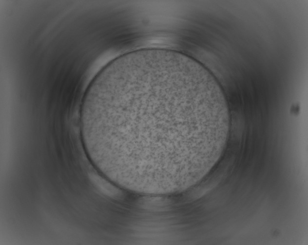 X0000089431474200707131833