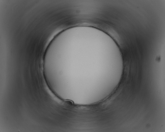 X0000089431476200707131833