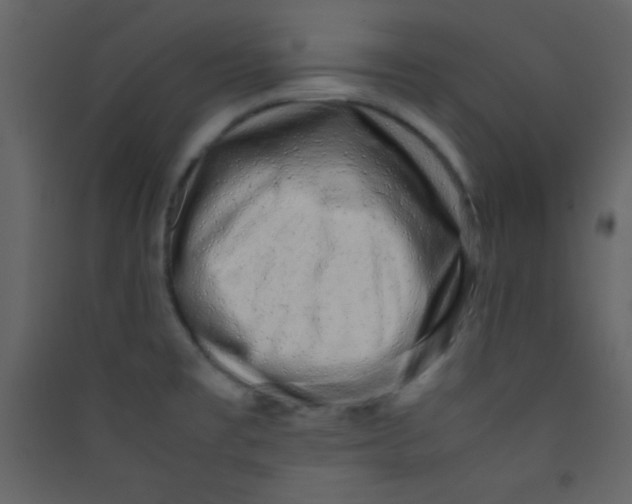 X0000089431477200707131833