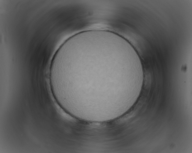 X0000089431478200707131833