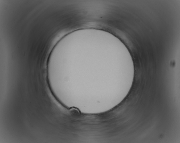 X0000089431479200707131833