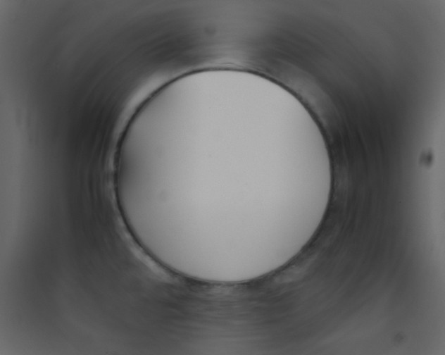 X0000089431480200707131833