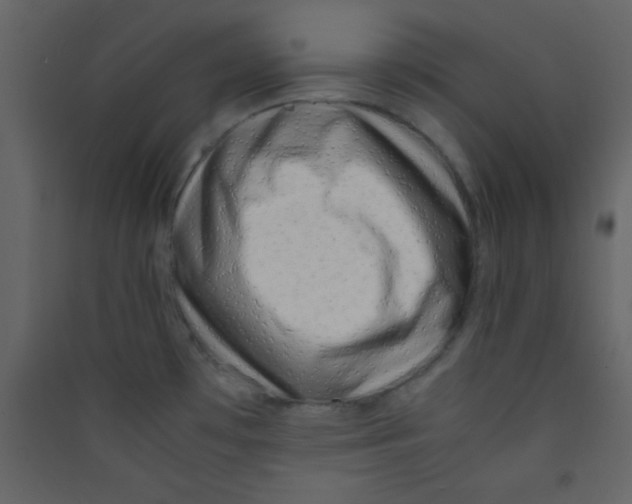 X0000089431481200707131833